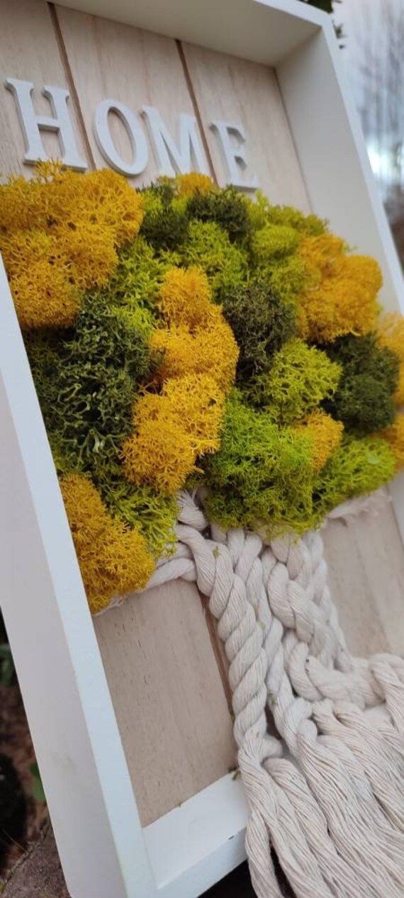 Tableau Végétal Arbre de Vie en Lichen Stabilisé.