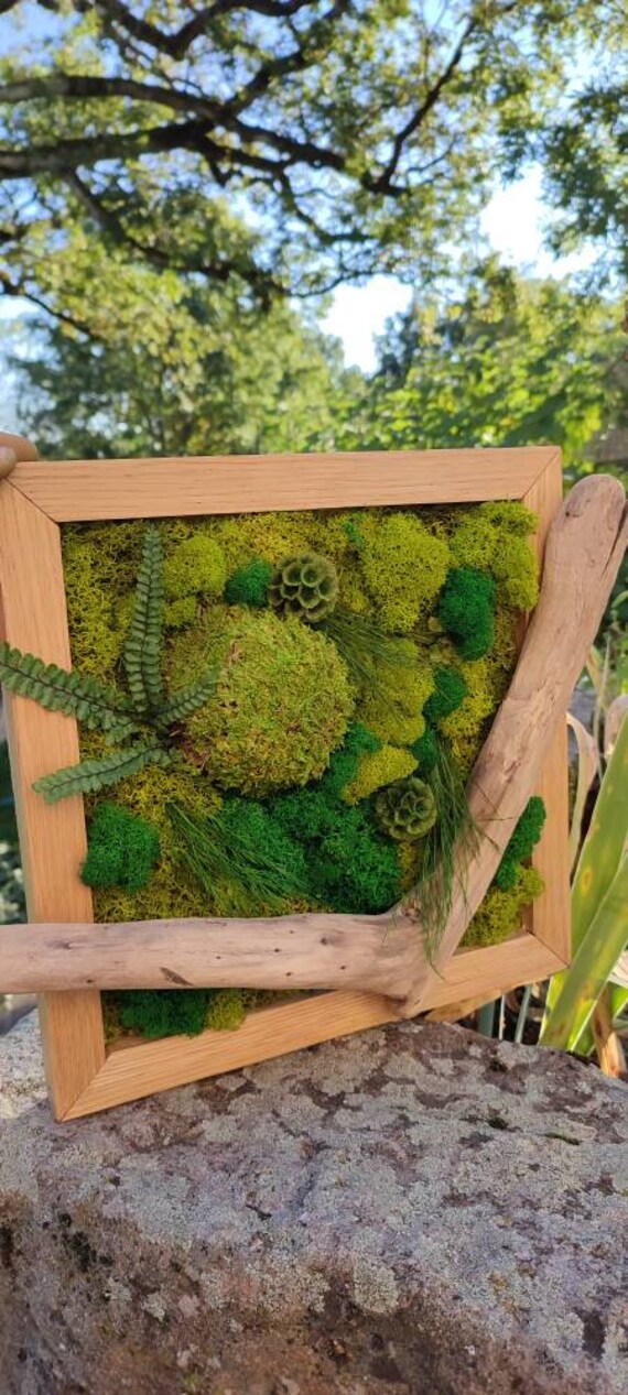 Tableau Végétal en Lichen