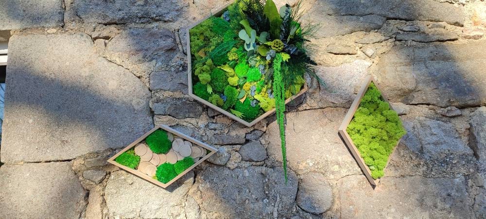 Cadre Végétal en Lichen Stabilisé et Fleurs Éternelles