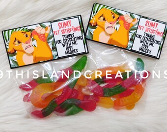 Disney The Lion King 5th Birthday Party Supplies Balloon