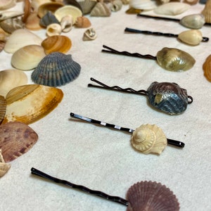 Seashell hair clips