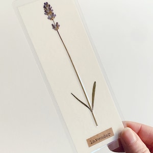 Lavender - Laminated Pressed Flower Bookmark