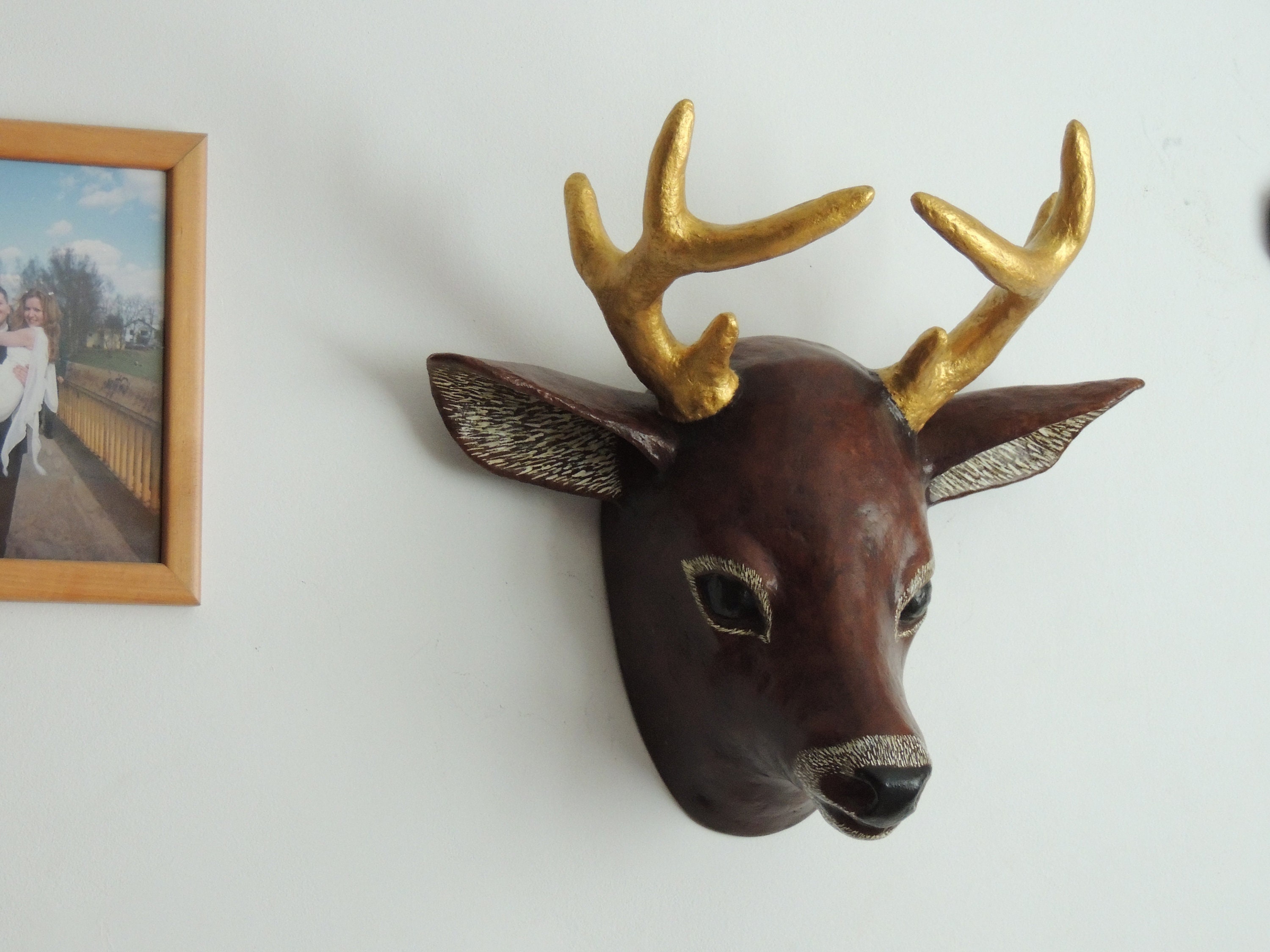 Deer head Wall mount Etsy