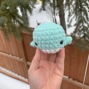 May include: A small crocheted whale plush toy in light blue and white. The whale has black eyes and a white belly.