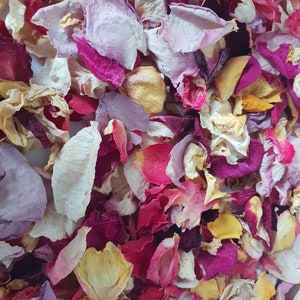 Confettis biodégradables. FLEUR DE ROSE Pétales de fleurs séchées naturellement. Confettis de mariage. Confettis de pétales de rose