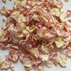 Confettis biodégradables. ROUGE D'IVOIRE. Pétales de fleurs séchées naturellement. Confettis de mariage. Confettis de pétales de rose. Pétales de qualité supérieure