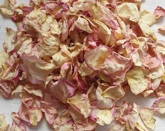 Biodegradable Confetti.  IVORY BLUSH.  Naturally dried flower petals.  Wedding confetti.  Rose petal confetti. Premium Petals