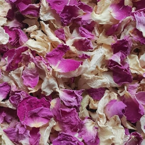 Confettis biodégradables. Rose et Ivoire. Confettis de mariage. Confettis de pétales de rose séchés. Confettis de fleurs séchées. Confettis de pétales