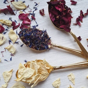 Coriandoli Biodegradabili. Blu Borgogna. Coriandoli di nozze. Coriandoli di petali di rosa essiccati. Coriandoli di fiori secchi. Coriandoli a petalo