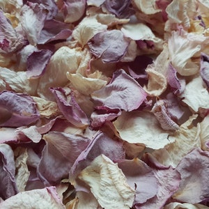 Coriandoli Biodegradabili. Fiori lilla e crema Petali di fiori essiccati naturalmente. Coriandoli di nozze. Coriandoli di petali di rosa
