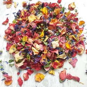 Coriandoli Biodegradabili. Coriandoli arcobaleno Petali di fiori essiccati naturalmente. Coriandoli di nozze. Coriandoli di petali di rosa
