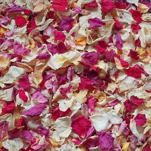 Confettis biodégradables. Jardins Tropicaux. Pétales de fleurs séchées naturellement. Confettis de mariage. Confettis de pétales