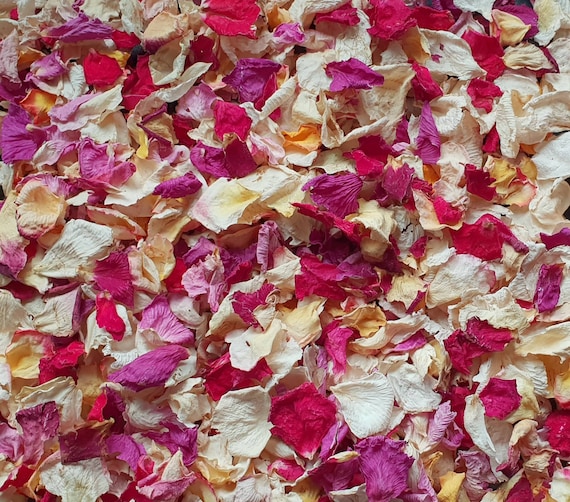Biodegradable Confetti. Tropical Gardens. Naturally dried flower petals.  Wedding confetti. Petal confetti