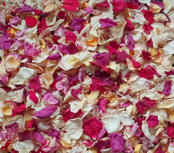 Biodegradable Confetti. Tropical Gardens. Naturally Dried Flower Petals.  Wedding Confetti. Petal Confetti 