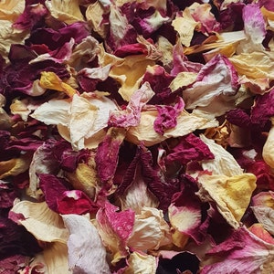 Coriandoli Biodegradabili. Borgogna Tramonto. 50 invitati. Petali di fiori essiccati naturalmente. coriandoli matrimonio biodegradabili. Coriandoli di petali di rosa