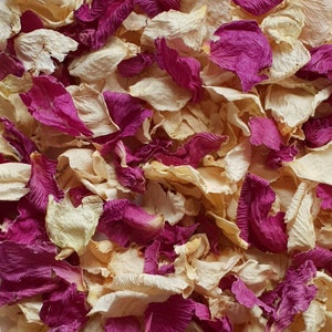 Confettis biodégradables. Passe pourpre. Pétales de fleurs séchées naturellement. Confettis de mariage. Confettis de pétales de rose