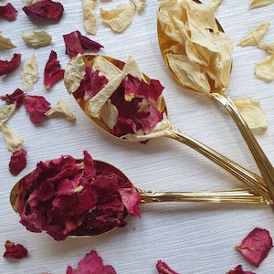 Coriandoli Biodegradabili. Fiore di fragola Petali di fiori essiccati naturalmente. Coriandoli di nozze. Coriandoli a petalo
