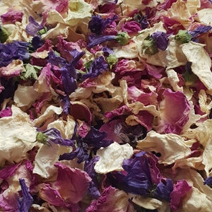 Confettis biodégradables. Confettis rose violet passion Pétales de fleurs séchés naturellement. Confettis de mariage. Confettis pétales de rose