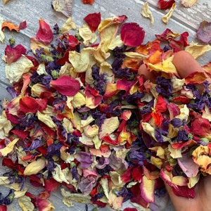 Confettis biodégradables. L'été indien. confettis Pétales de fleurs séchés naturellement. Confettis de mariage. Confettis pétales de rose