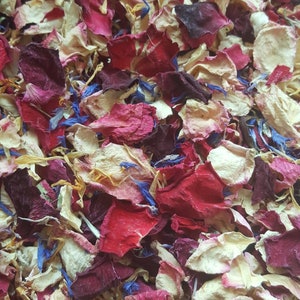 Confettis biodégradables. Fusion rouge. Pétales de fleurs séchées naturellement. Confettis de mariage. Confettis de pétales de rose