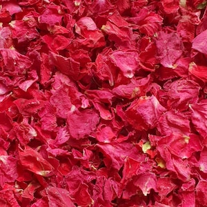 Confettis biodégradables. Simplement rouge. Pétales de fleurs séchées naturellement. Confettis de mariage. Confettis de pétales de rose