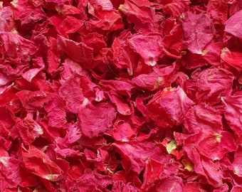 Confettis biodégradables. Simplement rouge. Pétales de fleurs séchées naturellement. Confettis de mariage. Confettis de pétales de rose