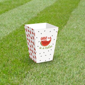 One in a Melon Party Popcorn/Snack Boxes