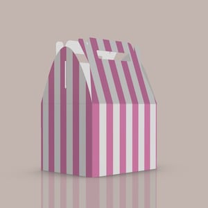 Pink and White Stripes Party Favor Boxes