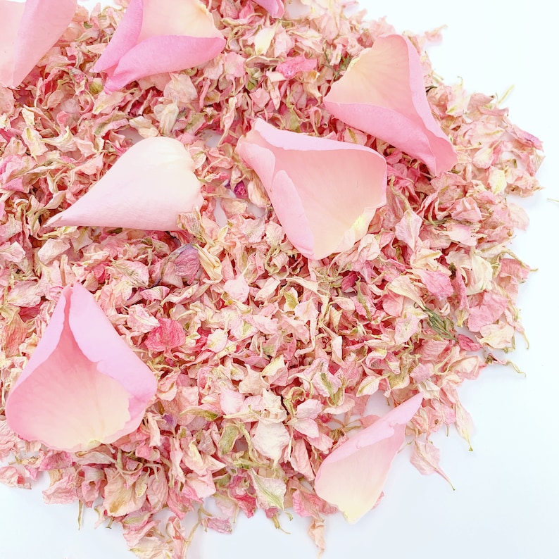 Natural Biodegradable Confetti Eco Friendly Wedding Confetti Dried Throwing Petals 1LTR Pale Pink Dried Delphinium and Rose Petals
