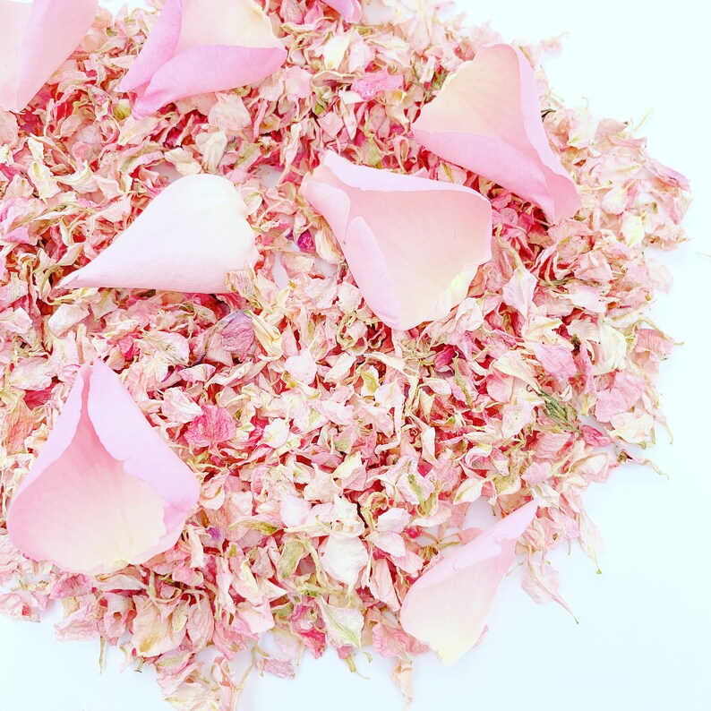Natural Biodegradable Confetti Eco Friendly Wedding Confetti Dried Throwing Petals 1LTR Pale Pink Dried Delphinium and Rose Petals
