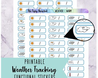 Printable Weather Tracking -Planner Stickers - Functional Stickers - Temperature - Forecast - Snow - Rain - Sun - Clouds - Digital