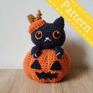 Morticia pumpkin cat crochet pattern - PDF file - beginner friendly