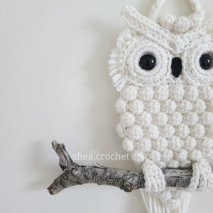 Owl crochet pattern PDF file wall hanging image 5