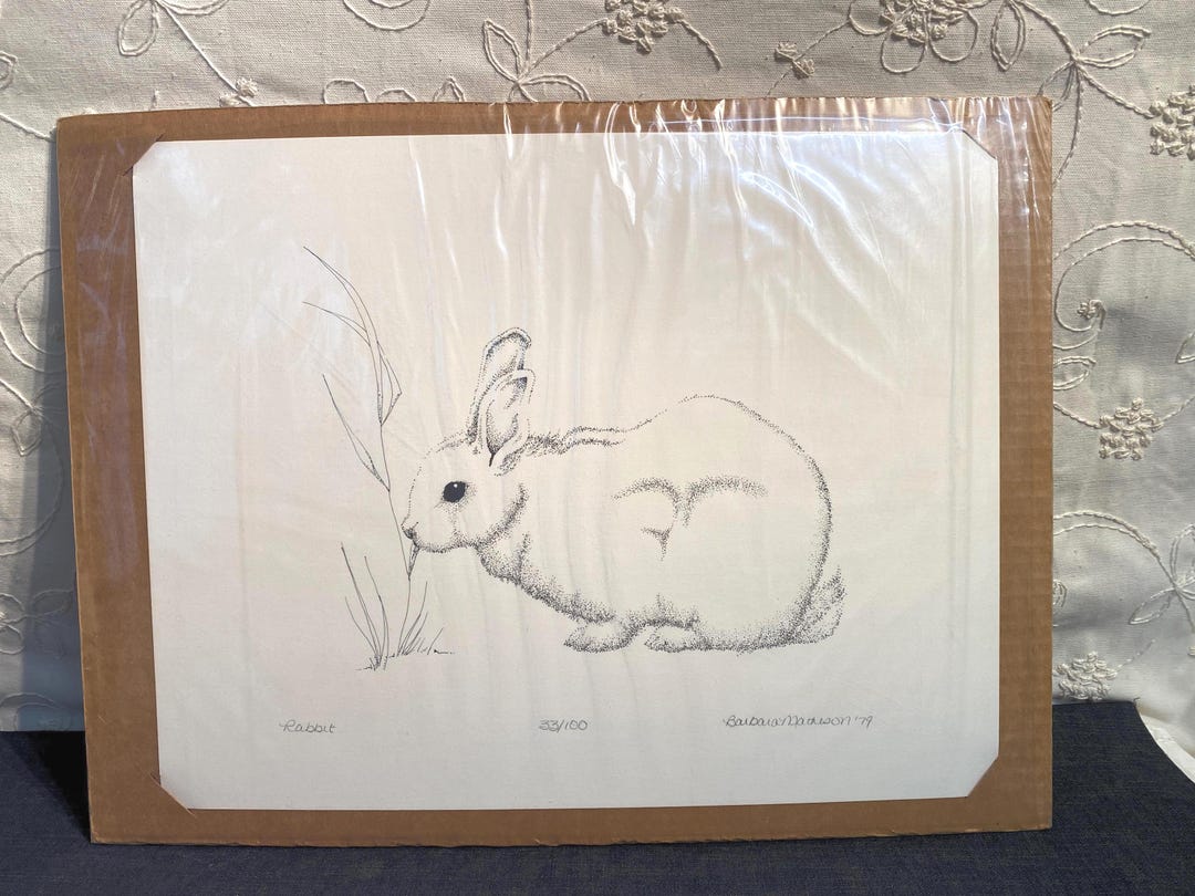 Vintage 1979 Limited Edition Rabbit Lithograph Print: Signed - Etsy