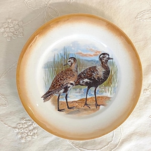 Vintage Homer Laughlin Lusterware Golden Plover Cabinet Plate Bird 1925 Edwin Megargee Art Seashore Bird Plate