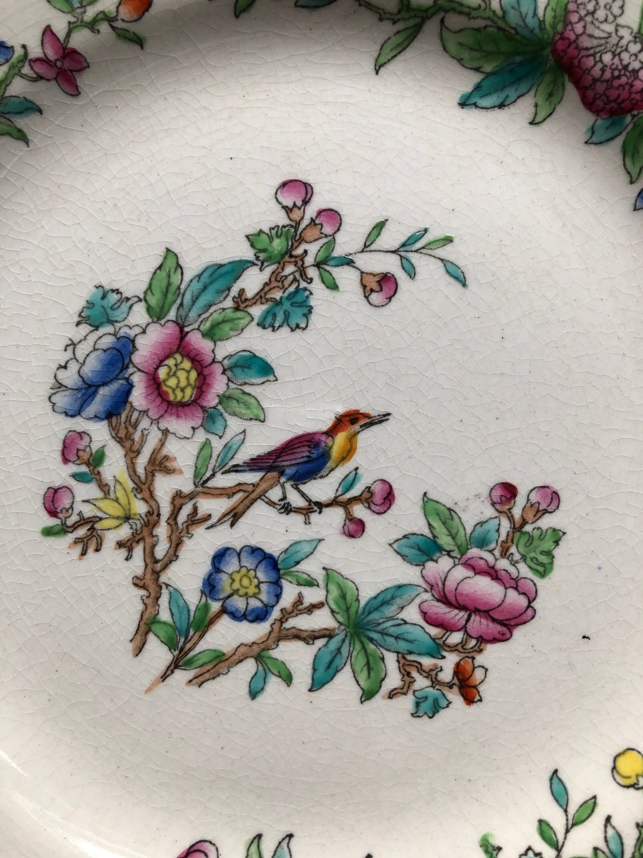 Antique Royal Doulton Small Colorful Plate Ito Pattern Bird Etsy