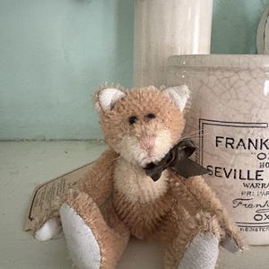 Pu&ograve; includere: Un piccolo giocattolo di peluche a forma di gatto con pelliccia marrone chiaro, zampe bianche e un fiocco marrone scuro. Il gatto ha un naso rosa e piccoli occhi neri. Un'etichetta &egrave; attaccata alla zampa del gatto. Lo sfondo include vasi di ceramica bianchi e un muro azzurro.