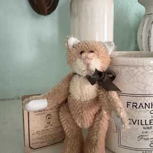 Pu&ograve; includere: Un piccolo orsacchiotto in stile vintage con pelliccia marrone e crema, un fiocco nero e un naso rosa. L'orso ha un certificato allegato. Lo sfondo include un vaso bianco e un contenitore decorativo.