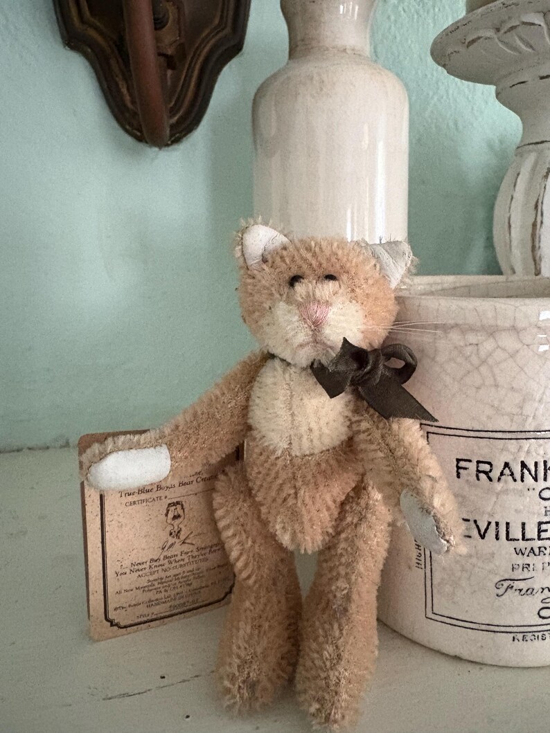 Pu&ograve; includere: Un piccolo orsacchiotto in stile vintage con pelliccia marrone e crema, un fiocco nero e un naso rosa. L'orso ha un certificato allegato. Lo sfondo include un vaso bianco e un contenitore decorativo.