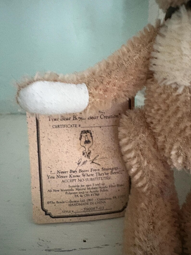 Pu&ograve; includere: Un orsacchiotto marrone con una toppa bianca sulla zampa. Un'etichetta di certificato &egrave; attaccata, con il testo "True Blue Boy Bear Creation" e "Never Buy Bears From Strangers". Fatto a mano in Cina.