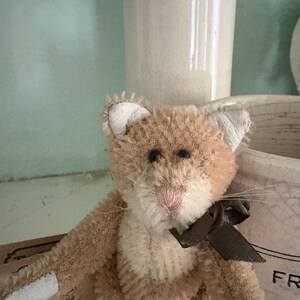 Pu&ograve; includere: Un giocattolo a forma di gatto di peluche marrone chiaro con un fiocco marrone. Il gatto ha un naso rosa, occhi neri e orecchie interne bianche. Il giocattolo &egrave; realizzato in materiale morbido e strutturato.