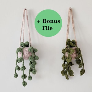 Crochet Tiny Plants Pattern-Hanging Vine Pothos-Amigurumi PDF Tutorial-DIY Mini Plant Decor