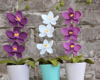 Crochet Moth Orchid Pattern: Realistic Flower Bouquet Tutorial (PDF + Video)
