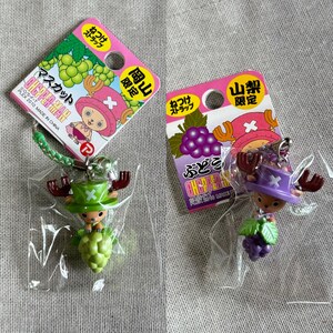 May include: Two One Piece Chopper Man grape-themed keychains. One keychain features a green hat and green grapes, the other a purple hat and purple grapes. Each keychain is attached to a pink tag with Japanese text and a cartoon image.