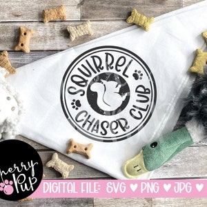 Squirrel Chaser Club SVG pour chien Bandana, téléchargement numérique instantané, SVG drôle pour chemise de chien, graphique de transfert de chaleur Cricut, fer sur la conception