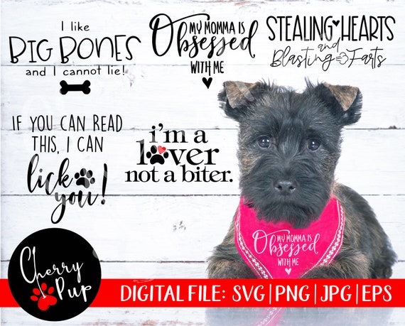 Download Svg Files For Cricut Png Files Dog Bandana Svg Bundle Dog Etsy