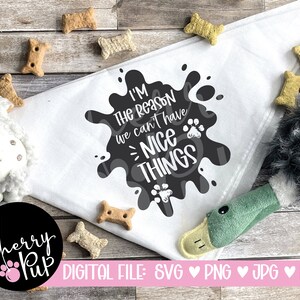 Io sono il motivo per cui non possiamo avere cose carine SVG per Dog Bandana, Download digitale istantaneo, Cricut Cutting File, Heat Transfer Iron On Graphic