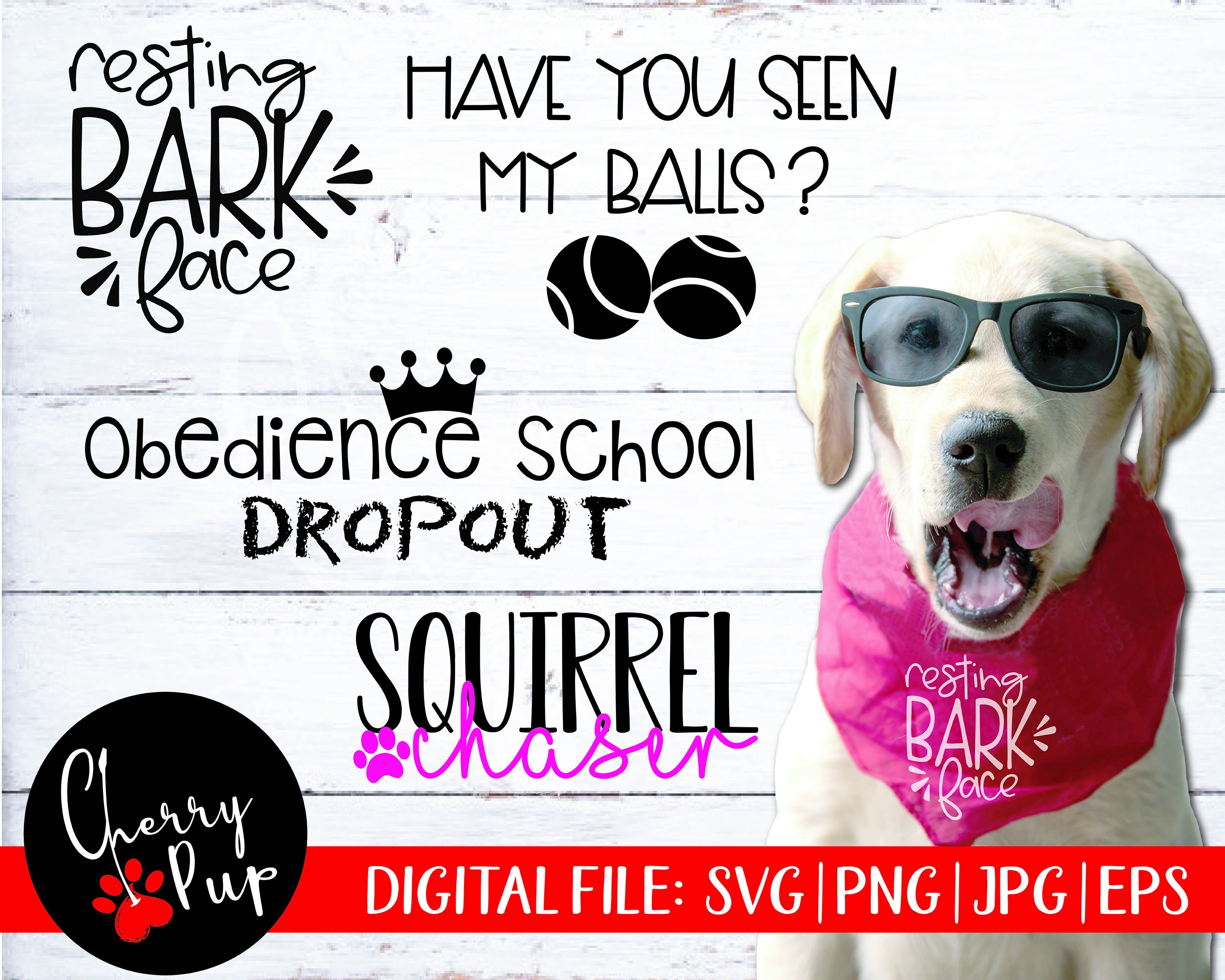 Download Svg Files For Cricut Png Files Dog Bandana Svg Bundle Dog Etsy