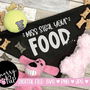 Miss Steal Your Food Hundehalstuch SVG, Cricut Design-Dateien, SVG schneiden Grafik, SVG für Hund Shirt, Instant Download, Heat Transfer Download