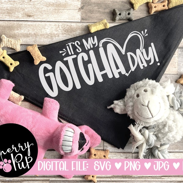 It's My Gotcha Day Dog Bandana SVG, Svg Files For Cricut, Png Files, Dog Bandana, Dog Lover SVG, Dog SVG, Dog Shirt, Bandana Cutting File